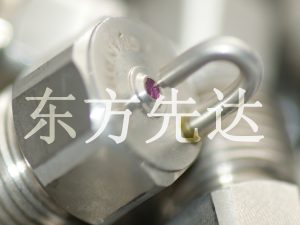 紅寶石噴頭
